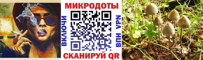 Галлюциногенные грибы Cubensis  наркота  Горячий Ключ 